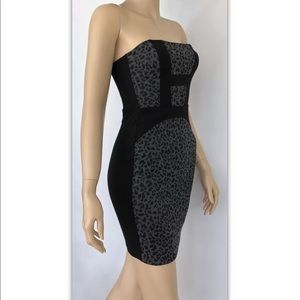 Leopard Strapless bodycon Dress XS cocktail Fall Animal Sexy Mini Bloomingdales